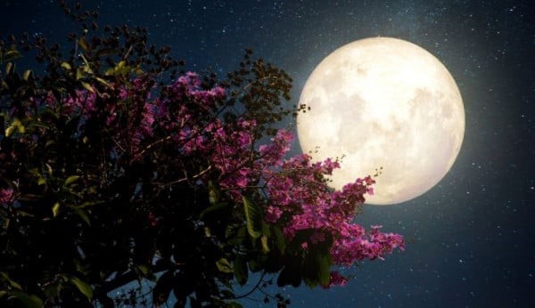 Απόψε το βράδυ στον ουρανό το Φεγγάρι των Λουλουδιών 